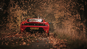Ferrari F430, Ferrari HD wallpaper