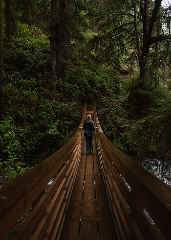 Nature, Forest, Bridge, Human, Person HD phone wallpaper