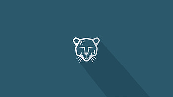 Pardus Linux Minimalism , pardus, linux, computer, minimalism HD wallpaper
