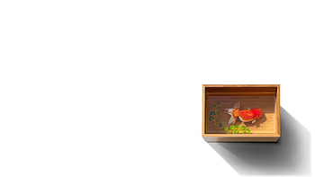 Animals, Fishes HD wallpaper