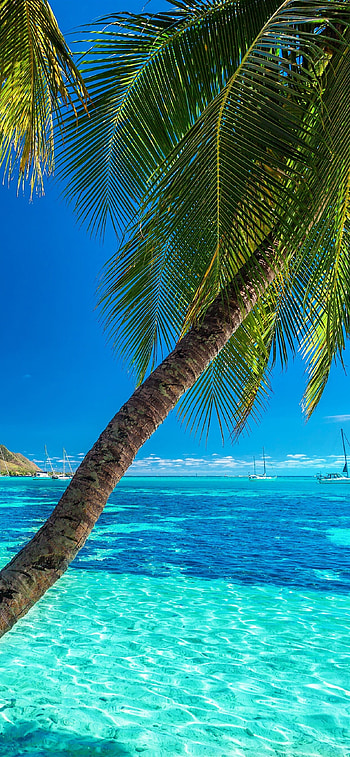 11 summer , Stunning summer visuals, Crystal clear resolution, Nature's finest HD phone wallpaper