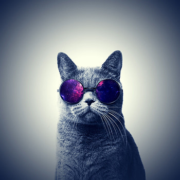 Galaxy Cat, Techno vibes, Hipster style, Artistic HD phone wallpaper