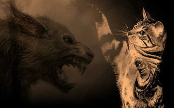 Who is Bad, fantasy, evil, cat, bad, wolf HD wallpaper