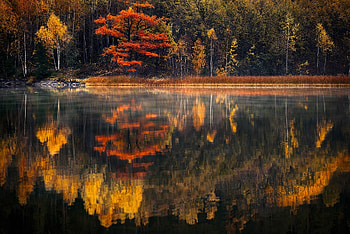 Lake Reflection, autumn, nature, reflection, lake HD wallpaper
