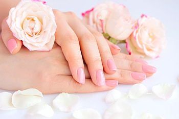 :), soft, hands, roses, flower HD wallpaper
