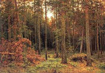 Ivan Ivanovich Shishkin 1885. 'Piny wood.', pine trees, painting, woods, art, nature HD wallpaper