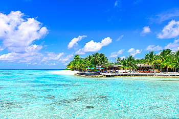 Nature, Beach, Palms, Ocean, Relaxation, Rest, Paradise HD wallpaper