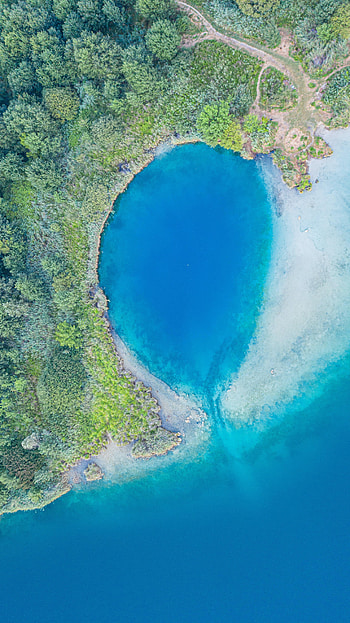 Nature, Trees, View From Above, Coast, Ocean HD phone wallpaper