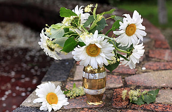 Flowers, Camomile, Bud, Bouquet, Vase HD wallpaper
