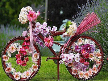 Spring journey, bike, decorated, flowers, spring HD wallpaper