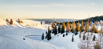 Nature, Trees, Mountains, Snow, Fir, Spruce, Snow Covered, Snowbound HD wallpaper