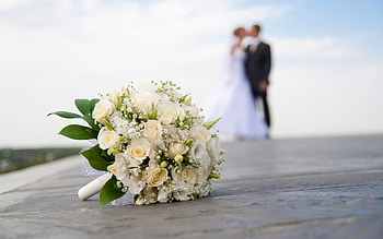 Plants, Holidays, Flowers, Wedding HD wallpaper