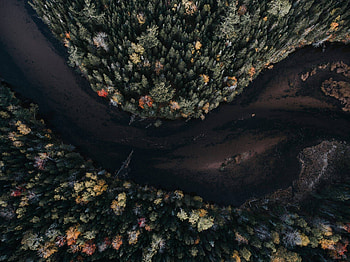 Aerial View Autumn Trees, aerial, autumn, trees, nature HD wallpaper