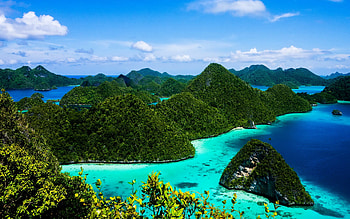 Indonesia, , Island, Forest HD wallpaper