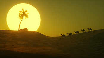 Art, Sun, Desert, Palm, Hill HD wallpaper