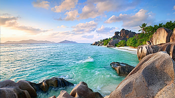 Island Summer Sky Sand Beach Palm Trees Stones () Need HD wallpaper