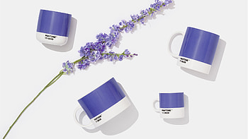 Pantone Colour, Color of the Year, Design Week HD wallpaper