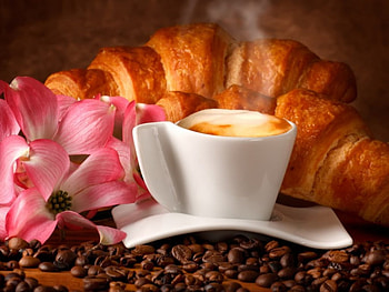 Morning Delight, graphy, hot, drinks, food, nice, coffee, bakery, flowers, beans, , drink HD wallpaper
