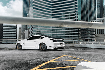 Mustang S 550, ford-mustang, mustang, cars HD wallpaper