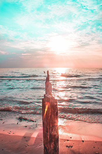 Pier pole, wood, partition, beach, sunset HD phone wallpaper
