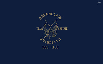 Ravenclaw Quidditch team - Harry Potter jpg HD wallpaper