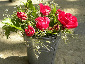 RED ROSES TO GO, roses, gifts, romance, bouquets, galvanised steel, red, flowers, blooms, buckets HD wallpaper