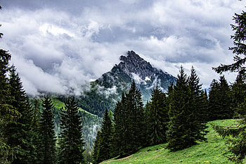 Nature, Trees, Mountains, Clouds, Rocks, Fog, Fir, Spruce HD wallpaper