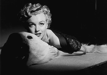 Marilyn Monroe, sexy, beautiful, people, actress, sex, symbol, timeless, talented, comedian HD wallpaper