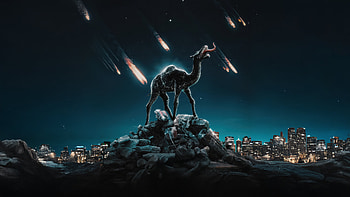 Venom Bonded A Horse In The Shadows, venom-the-last-dance, venom-3, venom, movies, tom-hardy, superheroes, poster, sony, artwork, art, digital-art HD wallpaper