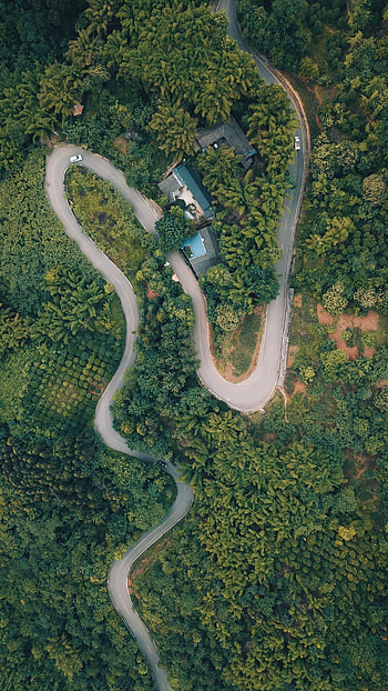 Nature, Trees, View From Above, Road, Forest HD phone wallpaper