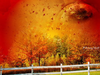 Red Autumn, trees, forest, autumn colours, fence HD wallpaper