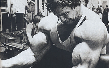 Arnold Schwarzenegger Arms, arnold-schwarzenegger, body-builder, celebrities, male-celebrities HD wallpaper