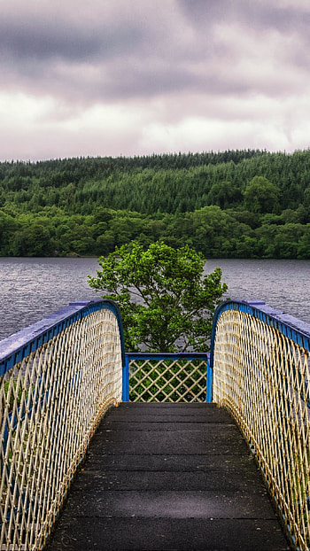 Bridge Near the River, river, bridge, nature HD phone wallpaper