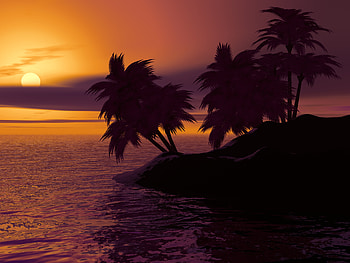 Island Palm Sunset Sky, island, sunset, sky, nature HD wallpaper