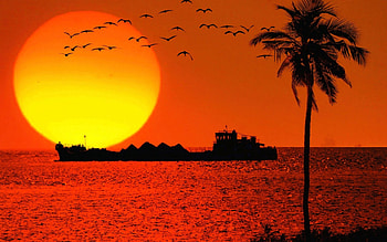 sunset in india, country, goa, india, sunset HD wallpaper