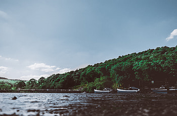 Nature, Trees, Boats, Shore, Bank, Ullswater, Alswater, Penrith HD wallpaper