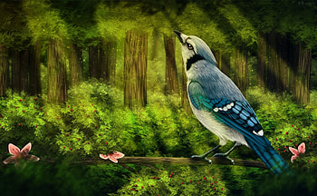 Greet tomorrow, trees, bird, morning, green HD wallpaper