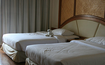 Interior, Miscellanea, Miscellaneous, Bear, Bed, Hotel, Beds HD wallpaper