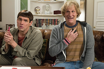 Jeff Daniels, Dumb and Dumber , Movie HD wallpaper