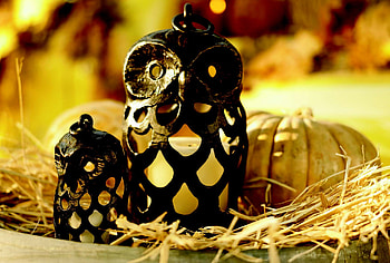Owl Lantern, fall, pumpkin, autumn, candles, lantern, owl HD wallpaper