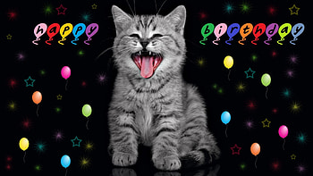 Happy Birtay!, balloons, by carmencitazapacita, Luna, birtay, cat, stars HD wallpaper