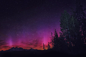 Northern Lights , northern-lights, nature, graphy, sky, stars HD wallpaper