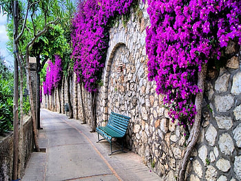 Canal Walk, trees, flowers, Seat, path HD wallpaper