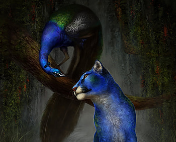 Strange heritage, leu, frumusete, bird, tiger, art, lion, lioness, tamberella, paun, fantasy, peacock, luminos HD wallpaper