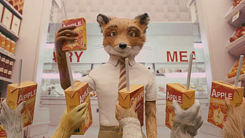 Fantastic Mr. Fox, Animation classic, Captivating 2009 film, Glorious background HD wallpaper