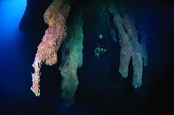 Belize's wonder, Scuba diving, Underwater discovery, Deep blue exploration HD wallpaper