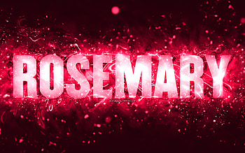 Happy Birtay Rosemary, , pink neon lights, Rosemary name, creative, Rosemary Happy Birtay, Rosemary Birtay, popular american female names, with Rosemary name, Rosemary HD wallpaper