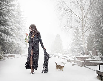 Winter Walk, rose, fantasy, snow, trees, cat, female HD wallpaper