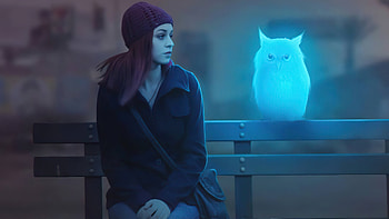 Owl Friend, owl, artist, artwork, digital-art HD wallpaper