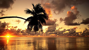 Beach | Home Â» Posts tagged 